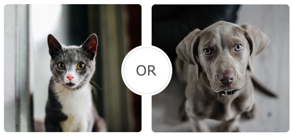 Binary image classification for cats and dogs.