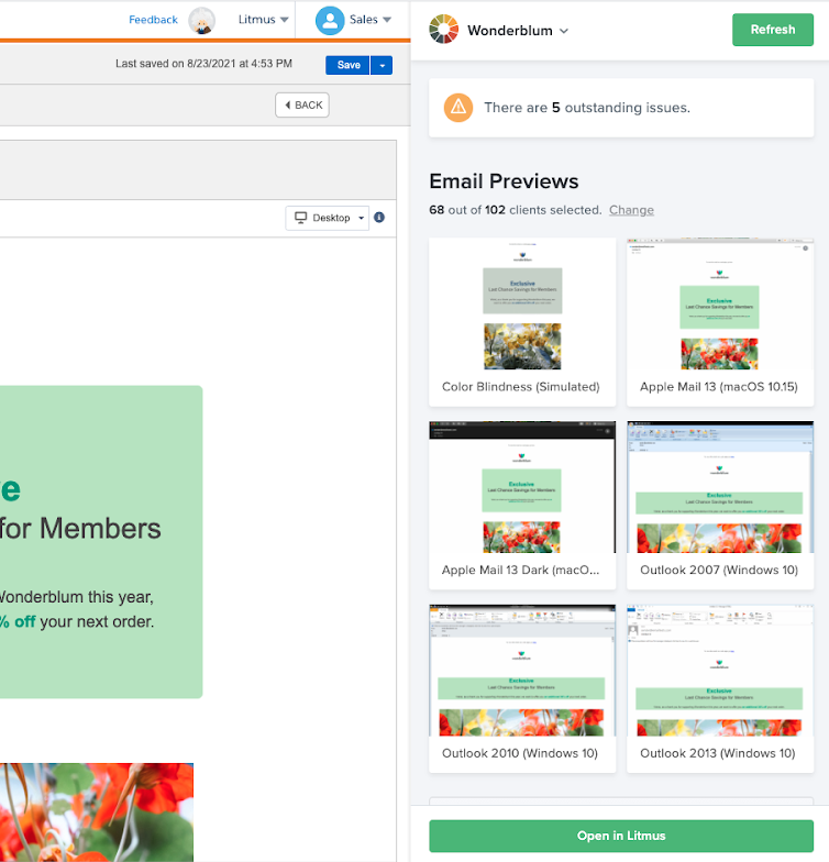 Litmus and Salesforce Marketing Cloud integration screenshot